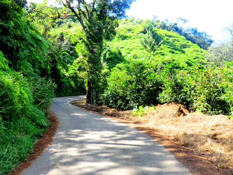 Die landschaftlich schöne Ruta Panoramica im im Zentrum von Puerto Rico