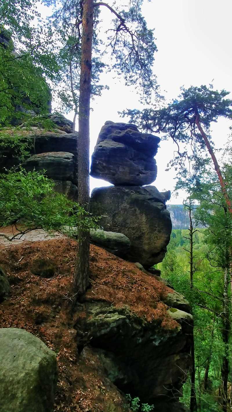 Die immer wieder skurile und spektakuläre Felsenwelt des Elbsandsteingebirges