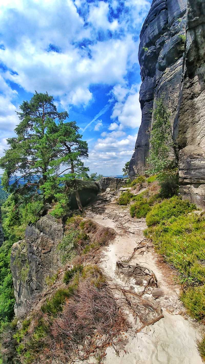Die Obere Affensteinpromenade: eine tolle Wanderung durch die Sächsische Schweiz und das Elbsandsteingebirge