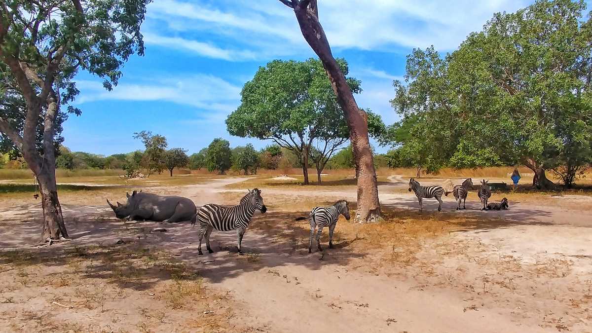 Spektakuläre Tierbeobachtungen im Fathala Wildlife Reserve im Senegal
