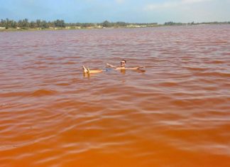 Der Lac Rosé nahe Dakar, ein rosa See als Top-Sehenswürdigkeit im Senegal