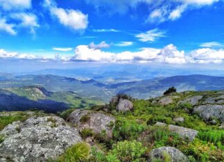 Eine tolle Wanderung in Simbabwe, Aufstieg zum Castle Beacon und Bvumba Mountain in den Eastern Highlands
