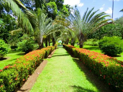 Der sehr gepflegte Botanische Garten in Kingstown