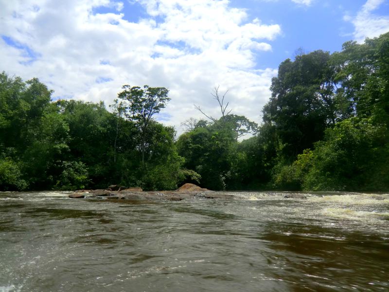 Im Langboot bzw. Koreal auf Suriname River zwischen Atjoni und Botopasi