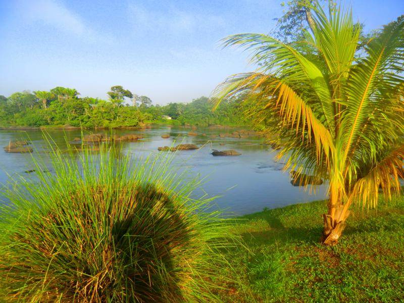 Toller Ausblick auf den Suriname River vom Hotel Botopassie