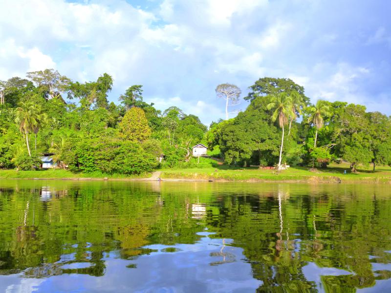Beeindruckende Fahrten auf dem Suriname River