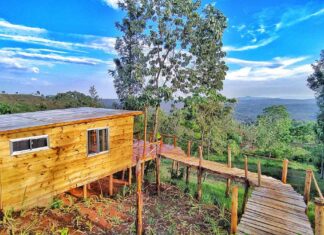 Die wundervolle Foresight Eco-Lodge in Tansania, eine tolle Lodge für Safaris und Entspannung