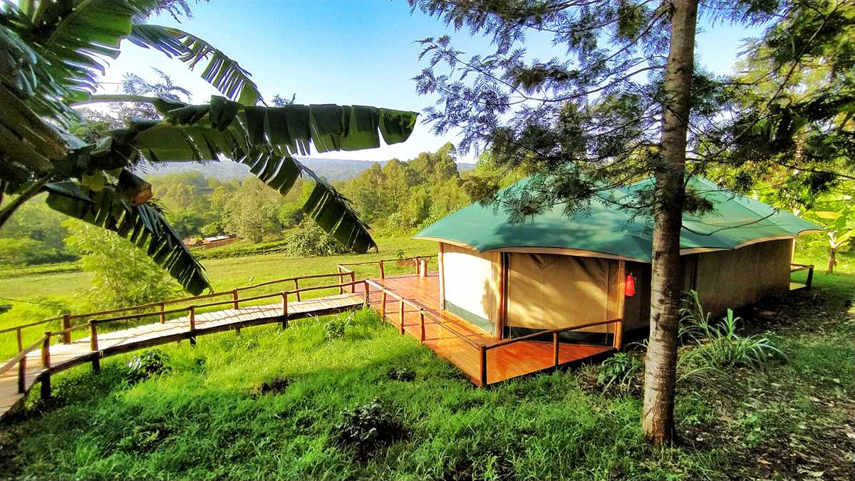 Die wundervolle Foresight Eco-Lodge in Tansania, eine tolle Lodge für Safaris und Entspannung
