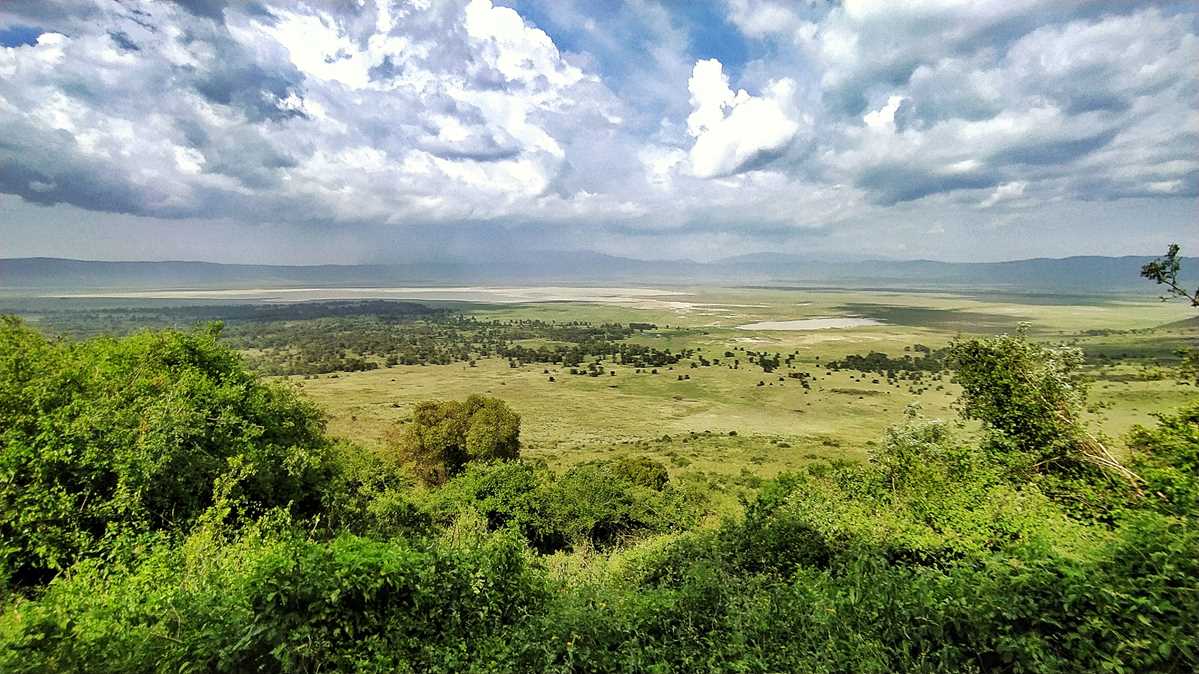 Blick auf den Ngorongoro-Krater, eine der spannendsten Safaris in Afrika