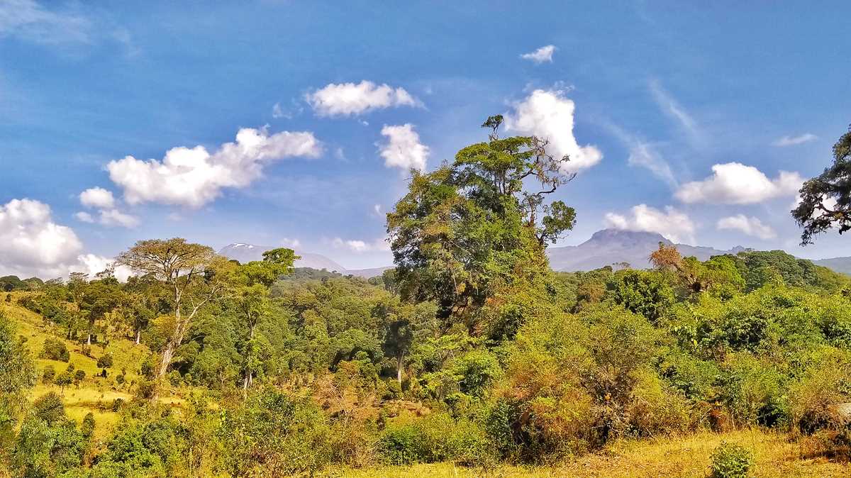 Blick von Marangu auf den Kilimanjaro