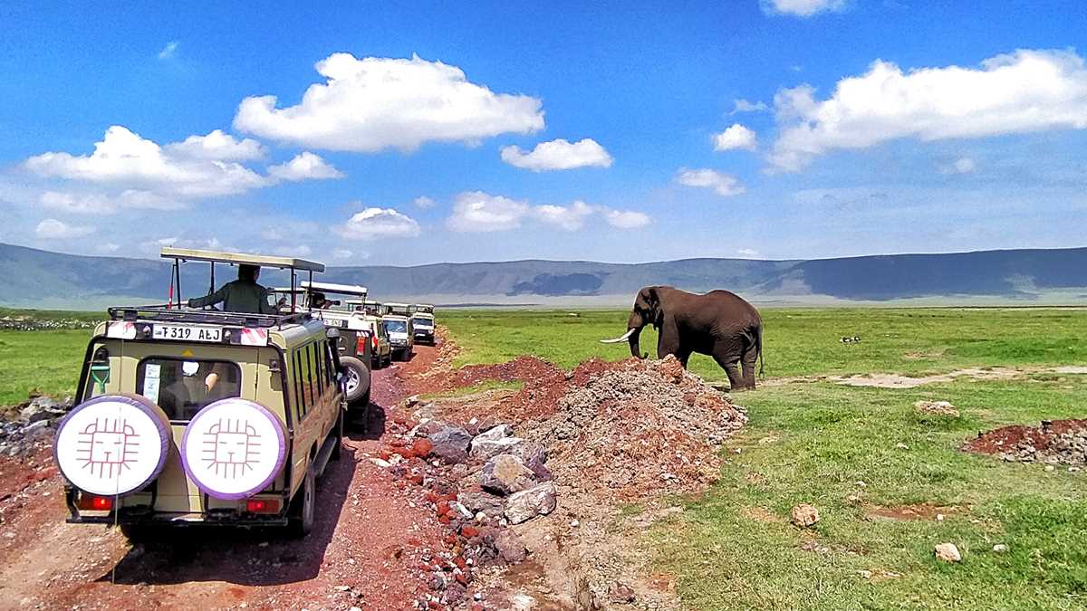 Beeindruckende Safari im Ngorongoro-Krater von Tansania