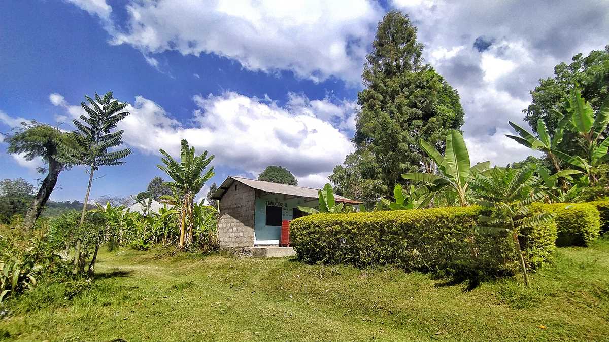 Wanderung in Arusha, Tansania, durch lokale Dörfer und tropische Landschaften