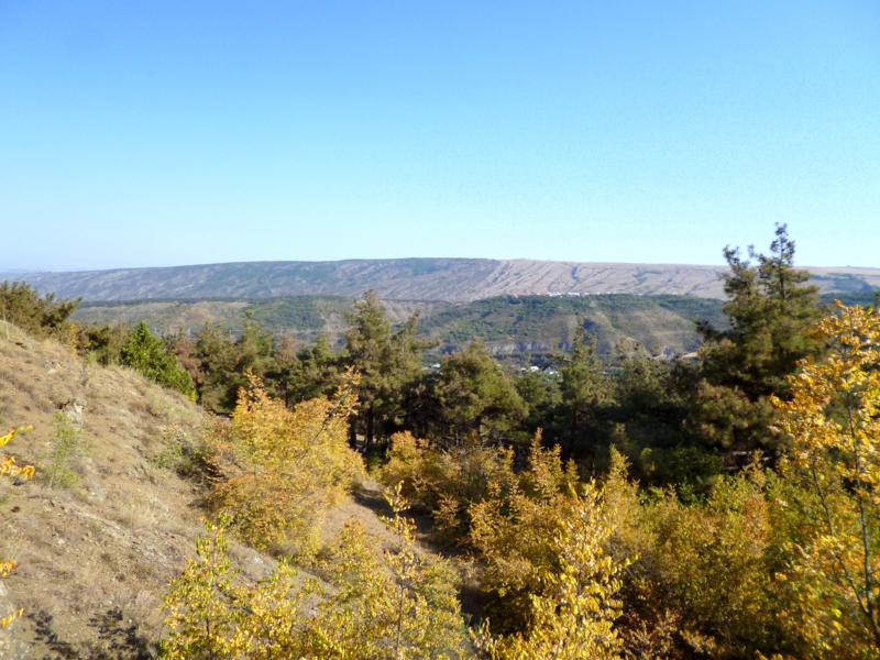 Viele Grünflächen gibt es im Hinterland von Tiflis