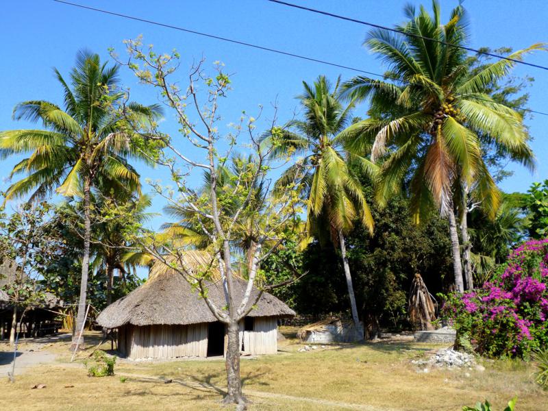 Traditionelle Häuser in Betano in Timor-Lestes Süden