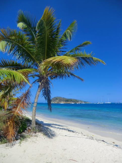Die Insel Petit Bateau, Teil der Tobago Cays und der Grenadinen