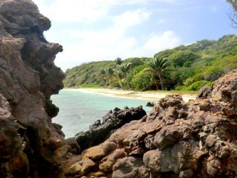 Kleiner Rundgang über Petit Bateau, eine der 5 Inseln der Tobago Cays