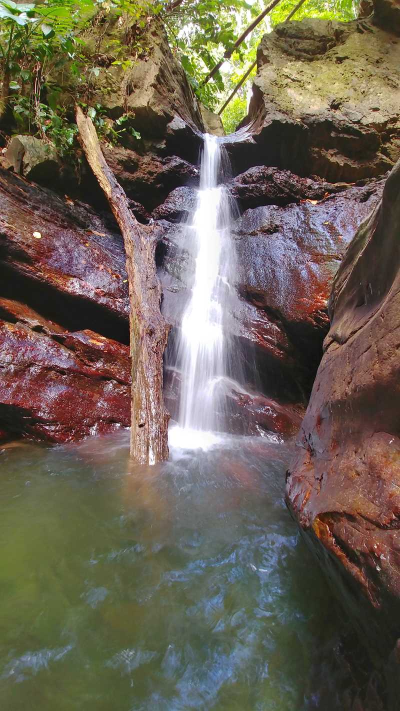 Der kleine aber hübsche Morang-Wasserfall im Norden von Trinidad