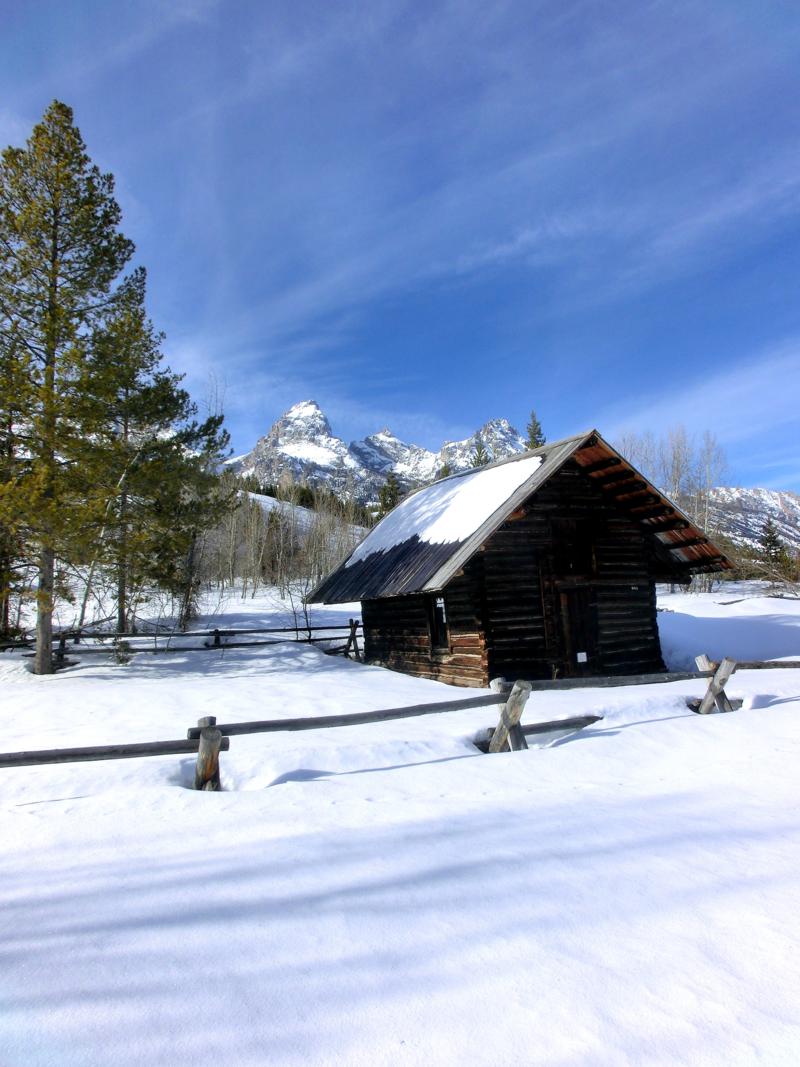 Traumhafte Winterlandschaft im Grand Teton National Park in Wyoming in den USA