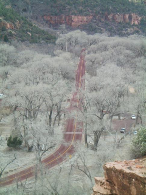 Die Straße durch den Zion Canyon - einzigartig und beeindruckend